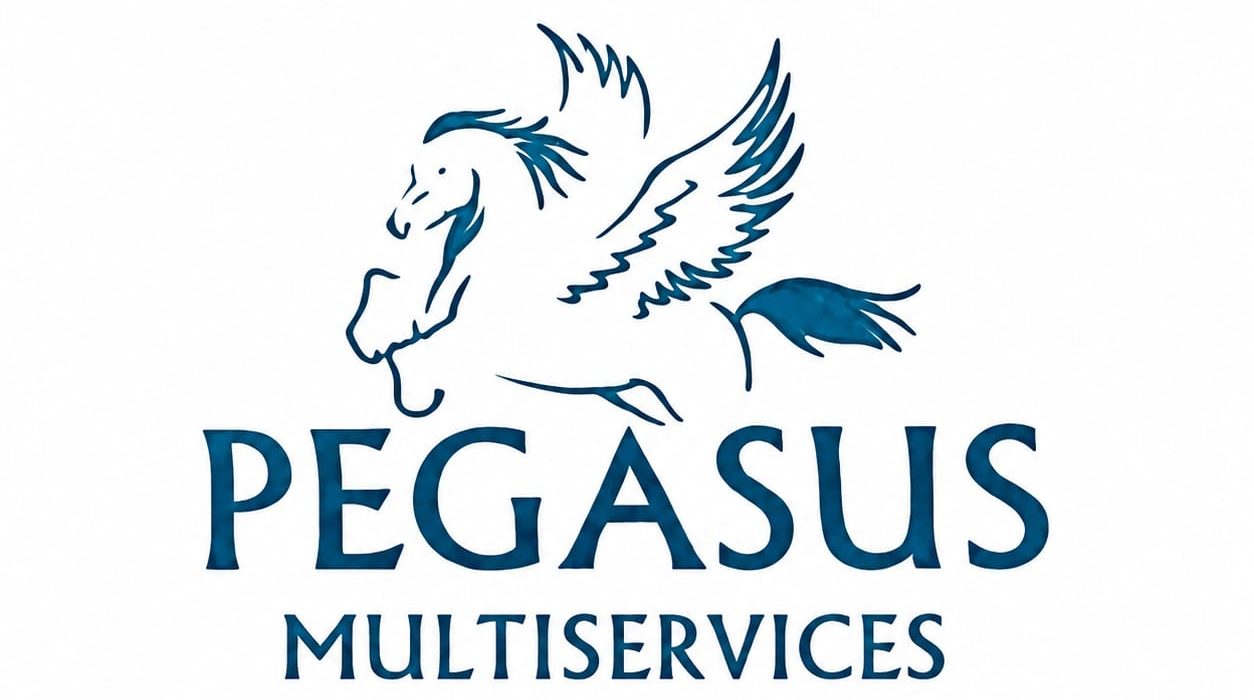 PEGASUS MULTI SERVIZI