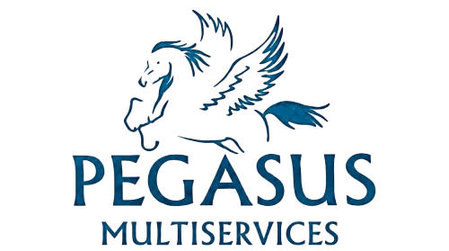 PEGASUS MULTI SERVIZI